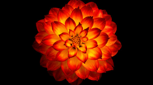 	Faire l'expérience de la liberté naturelle de l'esprit