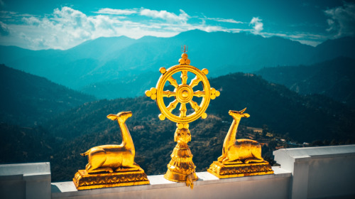 DÉCOUVERTE DU BOUDDHISME—Les quatre nobles vérités, partie 1-4