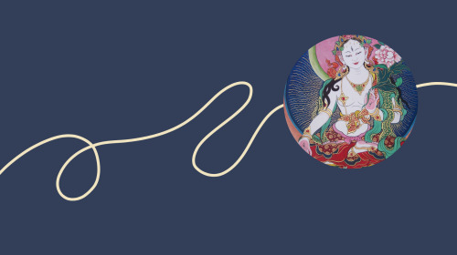 Tromge Jigme Rinpoche on teaching the dharma to an American audience and precious stories of his family