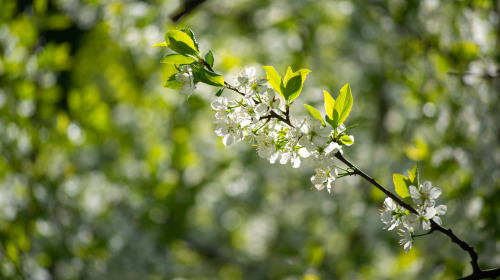 Simplifier notre vie