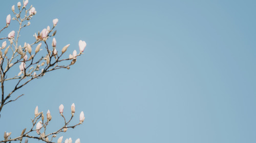 Prendre soin d’une personne mourante